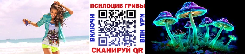 где найти   Шилка  мега вход  это Telegram  Галлюциногенные грибы ЛСД 